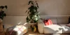 Un soggiorno con divano e piante illuminato da luce naturale, Nolte Living.