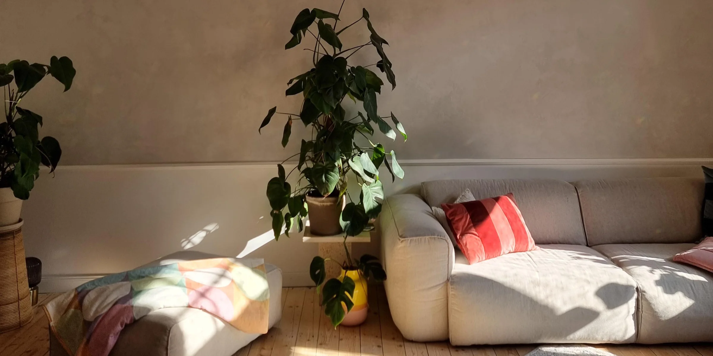 Un soggiorno con divano e piante illuminato da luce naturale, Nolte Living.