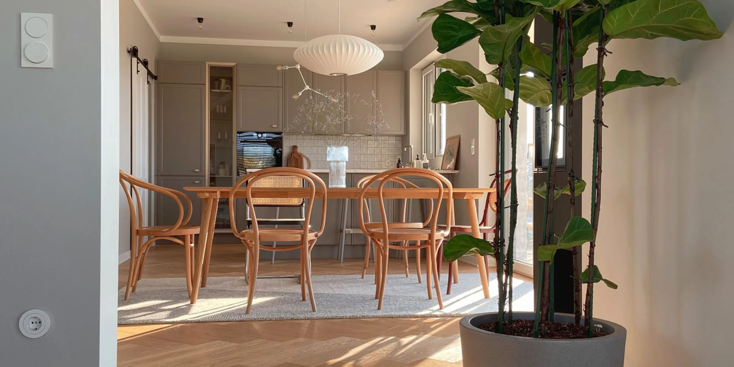 Sala da pranzo con tavolo e sedie in legno accanto a una grande pianta d'appartamento, illuminata da luce naturale, Nolte Living.