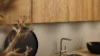 Cucina moderna con accenti in legno e lavello in acciaio inox, progettata da Nolte Kitchen.