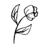 Disegno in bianco e nero di un fiore con due foglie su uno stelo.