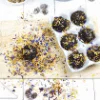 Istruzioni DIY Seedbombs