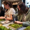 Istruzioni quadro vegetale