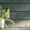 Bicicletta con cestino della spesa pieno di alimenti appoggiata a un muro scuro.