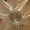 Un vaso di vetro sospeso in una rete macramè, annodata con arte.