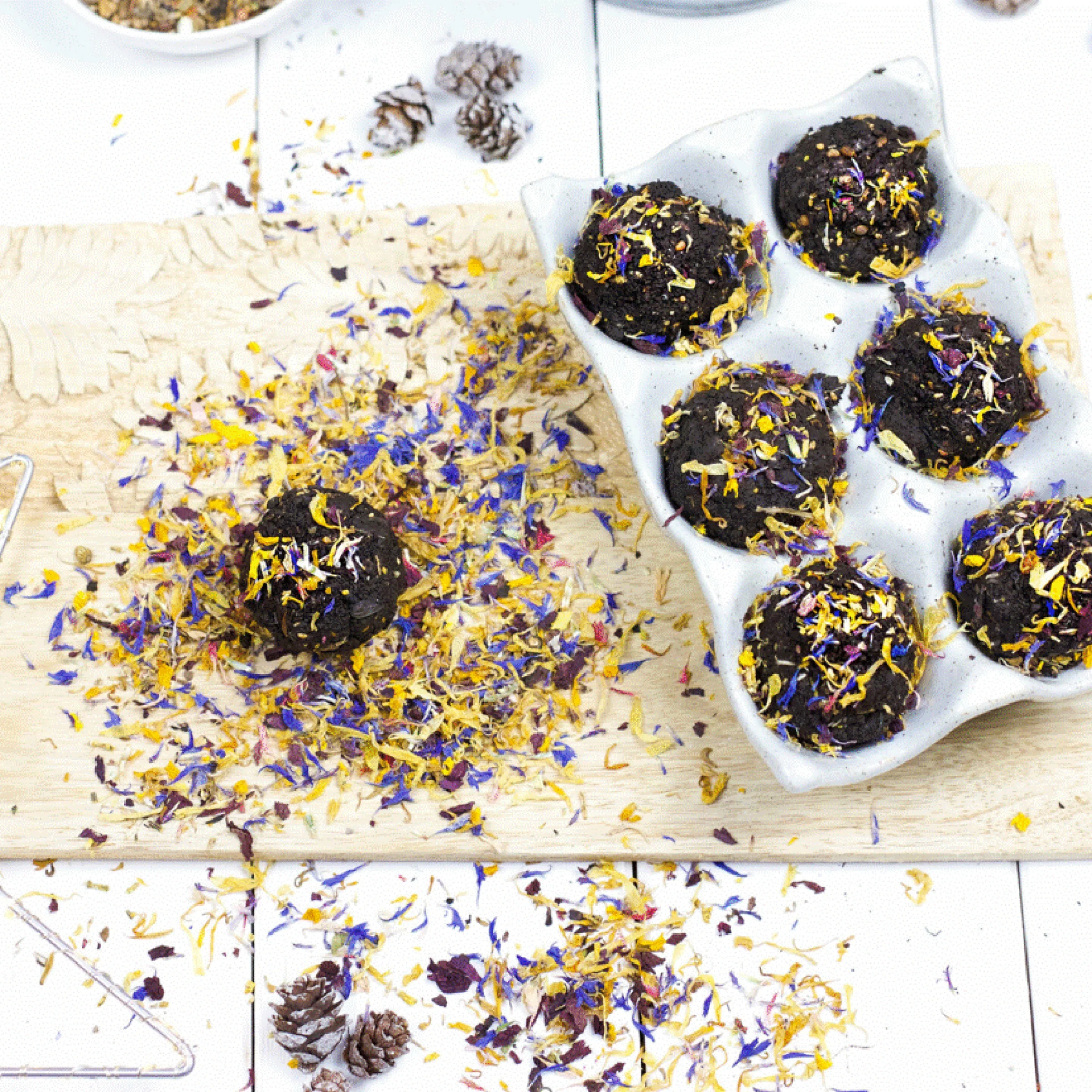Istruzioni DIY Seedbombs
