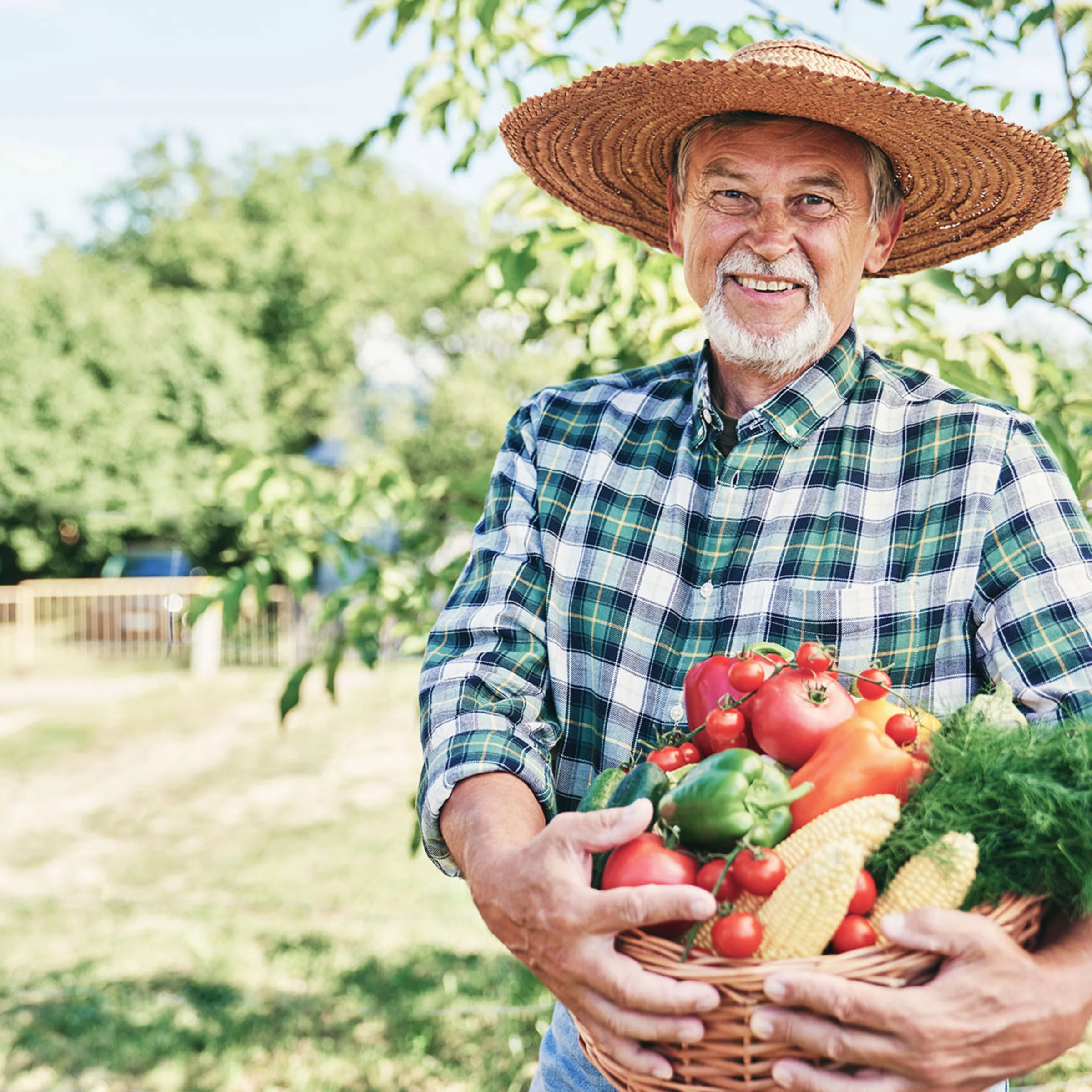 Un uomo con cappello di paglia tiene un cesto di verdure fresche in un campo.