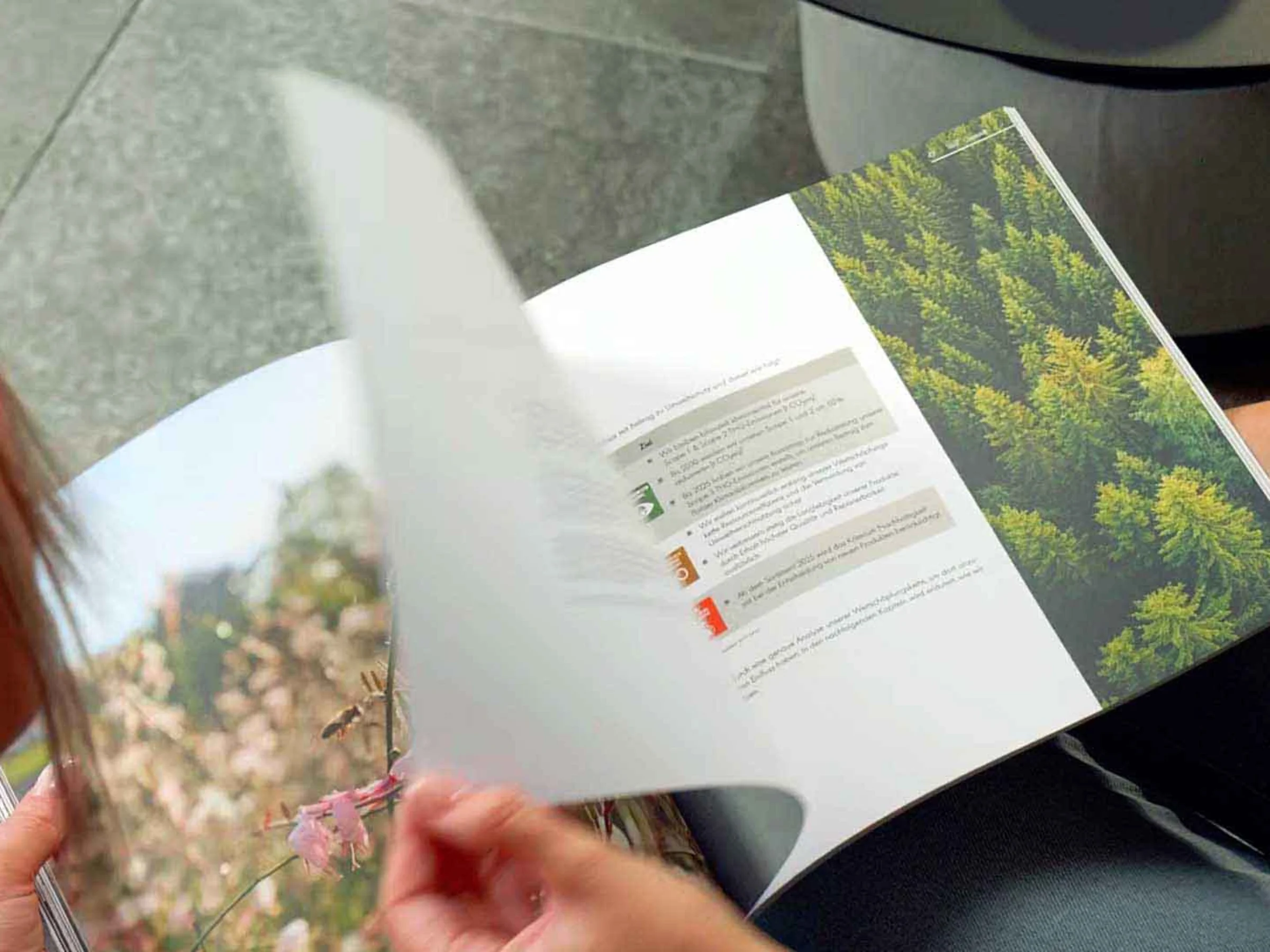 Due persone sfogliano una rivista di foto naturali sedute su un divano grigio. Nolte Kitchen.