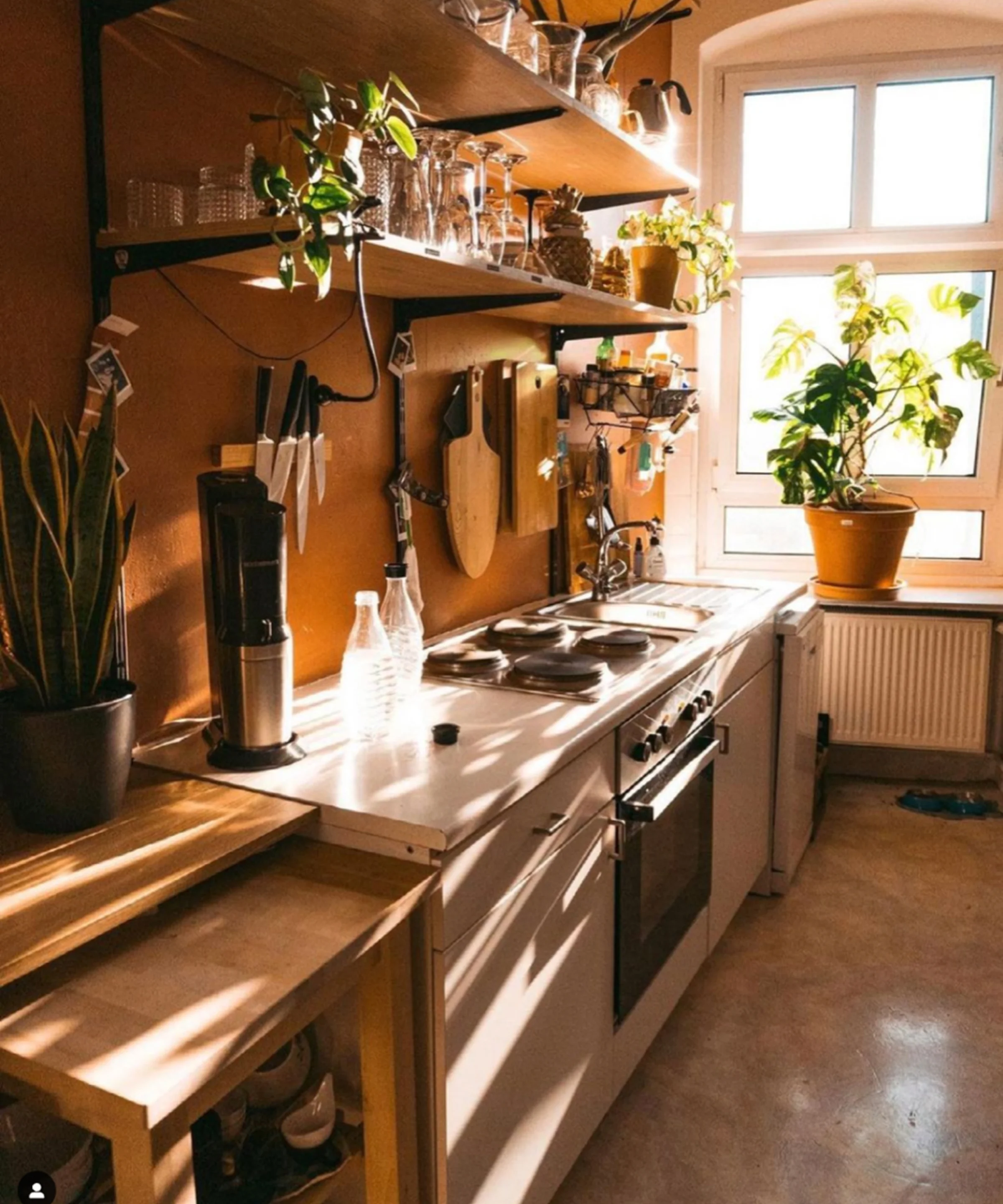 Una cucina luminosa con piante ed elettrodomestici moderni. Nolte Kitchen.
