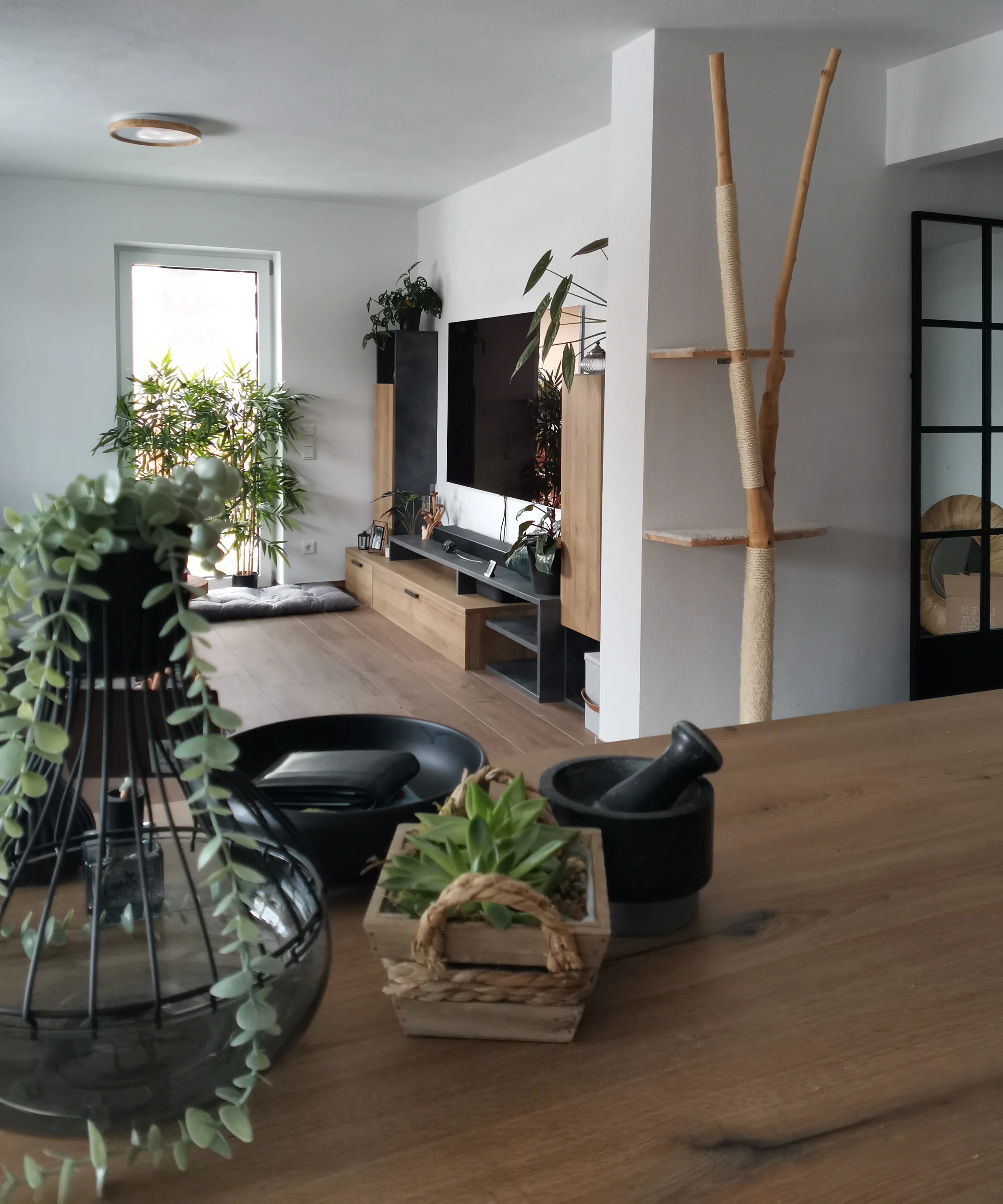 Un elegante soggiorno con mobili moderni e piante, presentato da Nolte Living.